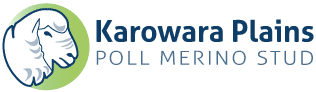 Karowara Plains Poll Merino Stud – Poll Merinos in NSW